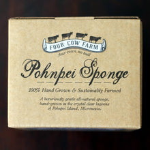 Load image into Gallery viewer, Pohnpei Sponge, Hand-Grown and Sustainably Farmed